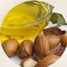 Biji jojoba dan minyaknya
